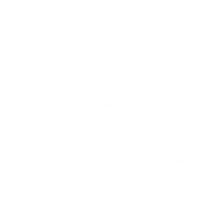 smart home solutions icon