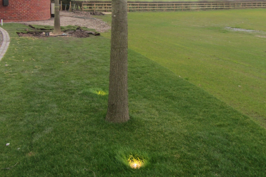 Image of Exterior Lighting Solutions